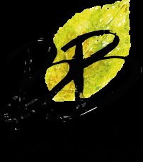 Référence client 11