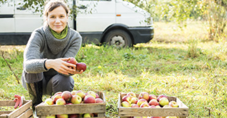 Conteneur frigorifique pour l’agriculture