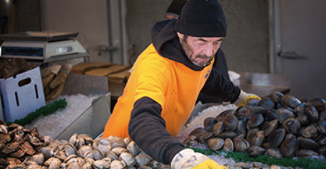 Conteneur frigorifique pour les métiers de la mer